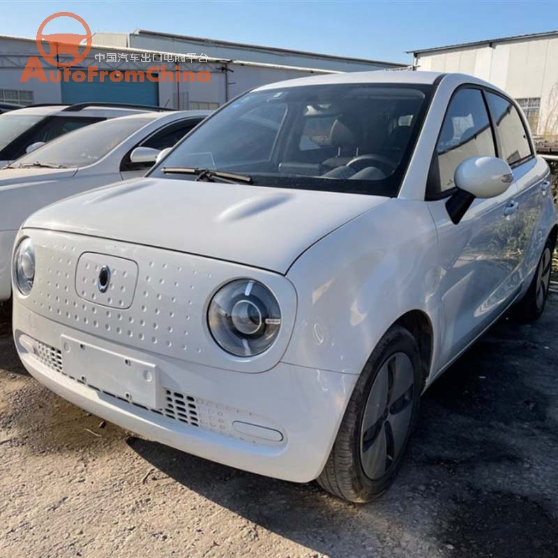 Used 2019 Great Wall Euler Black Cat electric small car ,NEDC Range 351km