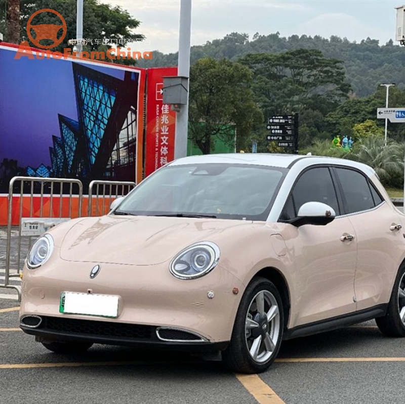 Used 2021 Model Great wall Good cat Electric auto, NEDC Range 401 km Standard battery life