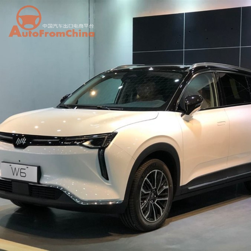 New 2021 Weima W6 Electric SUV , NEDC Range 520 km